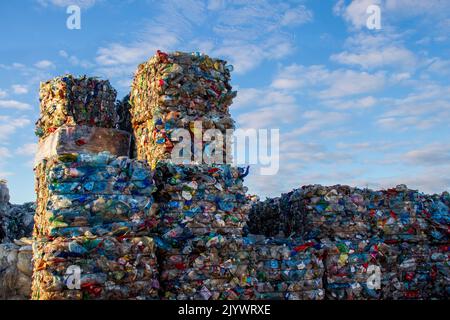 Abfallverarbeitung, Abfallsortierung. Für recycelten Kunststoffabfall, der zu Ballen verdichtet wird. Plastikflaschen, gepresst Stockfoto