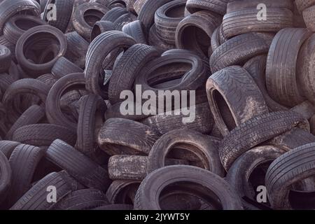 Deponie mit alten Reifen und Reifen zum Recycling. Wiederverwendung von Altgummireifen. Entsorgung gebrauchter Reifen. Stockfoto