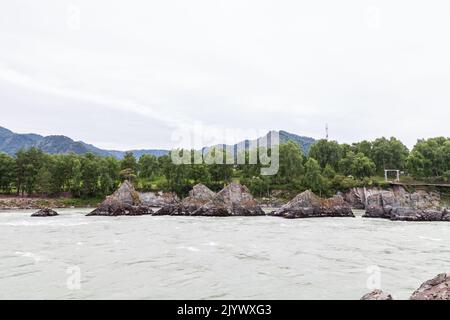 Ein schnell fließender breiter und voll fließender Gebirgsfluss. Große Felsen ragen aus dem Wasser. Großer Gebirgsfluss Katun, türkisfarben, im Altai-Gebirge Stockfoto