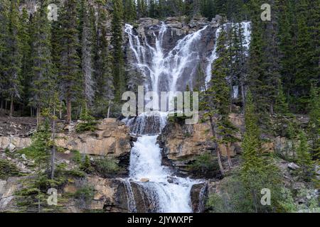 Tangle Creek Falls Wasserfall entlang des Icefields Parkway im Jasper National Park Stockfoto