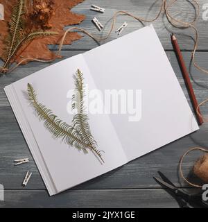 Getrocknetes gepresstes Blatt auf Papier aus Notizbuch mit Bleistift, Schere und Garn auf blauem Hintergrund. Hobby, handgemachte, florale Kunst und Boho Style Konzept Stockfoto