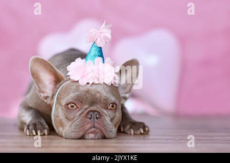 Französischer Bulldog Hund mit Geburtstagshut vor verschwommenem rosa Hintergrund Stockfoto