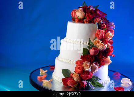 Hochzeitstorte mit echten Rosen dekoriert. Kaskadierung von roten und rosafarbenen Rosen auf einem eleganten dreistufigen weißen Milchkuchen. Hintergrund ist ein verträumtes tiefes Blau Stockfoto