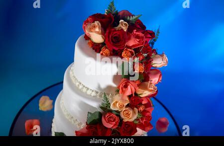 Hochzeitstorte mit echten Rosen dekoriert. Kaskadierung von roten und rosafarbenen Rosen auf einem eleganten dreistufigen weißen Milchkuchen. Hintergrund ist ein verträumtes tiefes Blau Stockfoto