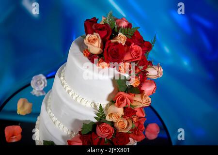 Hochzeitstorte mit echten Rosen dekoriert. Kaskadierung von roten und rosafarbenen Rosen auf einem eleganten dreistufigen weißen Milchkuchen. Hintergrund ist ein verträumtes tiefes Blau Stockfoto