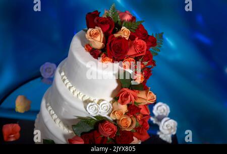 Hochzeitstorte mit echten Rosen dekoriert. Kaskadierung von roten und rosafarbenen Rosen auf einem eleganten dreistufigen weißen Milchkuchen. Hintergrund ist ein verträumtes tiefes Blau Stockfoto