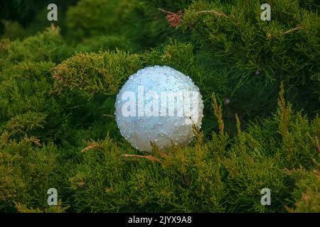 Helle große schöne Kugeldekoration auf Wacholderzweigen. Hintergrund für eine Weihnachtskarte. Stockfoto