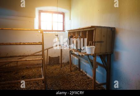 Geflügelhaus mit Hühnern im Dorf. Stockfoto