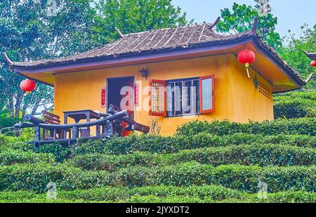 Die Fassade des kleinen schönen traditionellen chinesischen Hauses mit roten Laternen und geschwungenen Dach, umgeben von Teesträuchern, Ban Rak Thai Yunnan Tee V Stockfoto