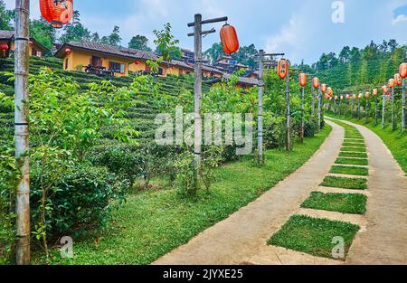 BAN RAK THAI, THAILAND - 6. MAI 2019: Oolong-Teeplantage lockt Touristen ins Lee Wine Ruk Thai Resort, das am Hang des chinesischen Dorfes Mae Aw liegt Stockfoto