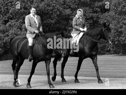 Datei-Foto vom 8/6/1982 von US-Präsident Ronald Reagan, der mit Königin Elizabeth II. Im Windsor Home Park unterwegs war, während er als Gast der Queen war. Pferde, wie Hunde, waren die lebenslange Liebe der Königin und sie hatte ein unglaubliches Wissen über Zucht und Blutslinien. Ob es nun Vollblutrennen oder Ponys waren, sie zeigte ein unfehlbare Interesse. Ausgabedatum: Donnerstag, 8. September 2022. Stockfoto