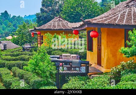 Das alte lehmziegelhaus inmitten von Teesträuchern, Ban Rak Thai Yunnan Teeldorf, Thailand Stockfoto