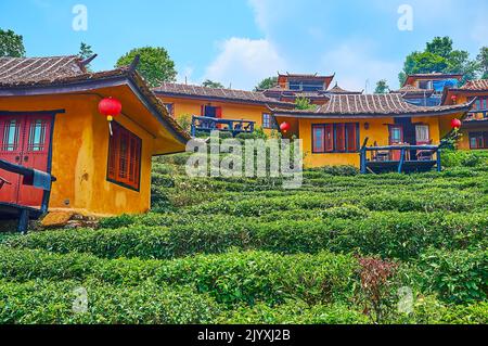 Das Touristenresort auf Teeplantage mit traditionellen chinesischen Häusern, Ban Rak Thai Yunnan Teeldorf, Thailand Stockfoto