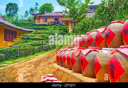 BAN RAK THAI, THAILAND - 6. MAI 2019: Die Linien von Tongefäßen für die Weingärung vor Lee Wine Ruk Thai Resorthäusern und Teeplantage, ON Stockfoto