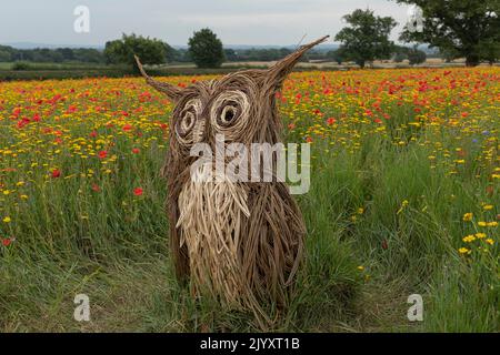 Wildblumenwiesen mit Tierfiguren aus Weidengeflecht Stockfoto