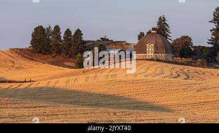 USA, Washington State, Whitman County. Palouse. Pullman. 7. September 2021. Eine runde Scheune in den Palouse Hügeln. Stockfoto