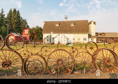 USA, Washington State, Whitman County. Palouse. N. Parkway. 8. September 2021. Zaun aus alten Eisernen Rädern. Stockfoto