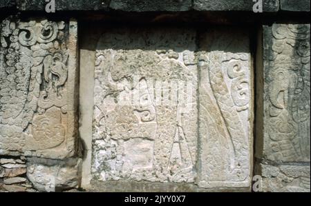 Relief von der Plattform der Adler und Jaguare Relief zeigt einen Jaguar mit einem menschlichen Herz in der Pfote. Die Plattform der Adler und Jaguare in Chichen Itza, Mexiko, ist eine kunstvoll geschnitzte Plattform, die sich auf der zentralen Ebene zwischen dem Venustempel und der Plattform der Schädel befindet. Die Sockel, die die Plattform oben sind mit Schlange viele Köpfe gekrönt, über denen man glaubt, dass es Standard-Träger in Form von Jaguaren gewesen. Die archäologische Stätte Chichen Itza im mexikanischen Bundesstaat Yucatan wurde von der präkolumbianischen Maya-Zivilisation zwischen dem 9.. Und 12. Stockfoto