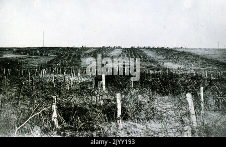 Hindenburg-Linie, deutsch-französische Grenze, während des Ersten Weltkriegs 1918 Stockfoto