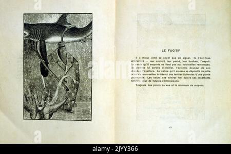 Titelseite und Illustration aus 'Les malheurs des immortels' reveles par Max Ernst et Paul Eluard. 1922; das Unglück der Unvererbarn, enthüllt von Max Ernst und Paul Eluard Stockfoto