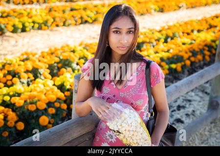 Herbstfest Porträt einer jungen asiatischen Frau, die vor einem Feld mit orangefarbenen und gelben Ringelblumen steht | Eating Kettle Co Stockfoto