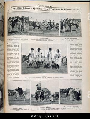 Aus dem Magazin La Vie au Grand Air (Leben im Freien); Schwarz-Weiß-Fotografien von jungen Hengsten und jungen arabischen Pferden auf der Ausstellung in Arras. Stockfoto