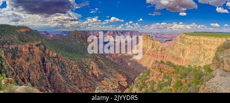 Vom East Buggeln Hill Trail aus gesehen brauen sich über dem Grand Canyon Arizona Sturmwolken. Stockfoto