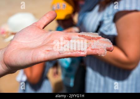 Salzblume, ist ein Salz, das sich als dünne, zarte Kruste auf der Oberfläche des Meerwassers in der Hand einer Frau bildet, frisch aus dem Salzfiel gesammelt Stockfoto