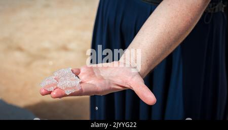 Salzblume, ist ein Salz, das sich als dünne, zarte Kruste auf der Oberfläche des Meerwassers in der Hand einer Frau bildet, frisch aus dem Salzfiel gesammelt Stockfoto