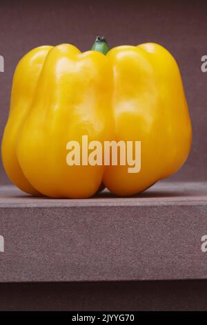 Big Yellow Paprika Sweet Pepper mit grünem Stiel auf der braunen Haussteinstufe. Seitenansicht, Nahaufnahme, Makro Stockfoto