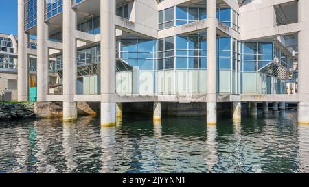 Moderner Büroturm in der Innenstadt von Halifax Nova Scotia, erbaut auf Stelzenpfeilern im Wasser des Halifax Harbour. Stockfoto