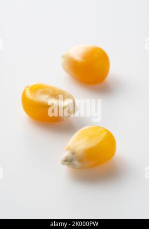 Getrocknete Maiskörner auf weißem Hintergrund platziert. Mais für Popcorn. Stockfoto