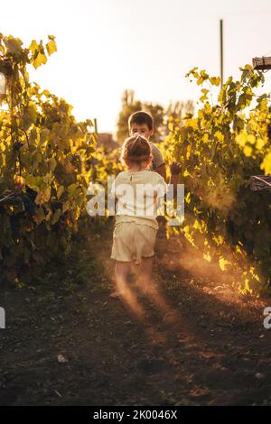 Bild von zwei Kindern, Jungen und seiner kleinen Schwester, die in einem herbstlichen Weingarten zusammenlaufen. Weinberge für Kinder. Natürliche Sommerlandschaft. Sommer Natur. Glücklich Stockfoto