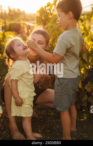Glückliche Familie, die im Weinberg spazieren geht, Spaß beim Essen von Trauben im Freien zur Erntezeit in den Weinbergen. Traubenfarm. Kleines Familienunternehmen. Glücklich mit dem Lächeln Stockfoto