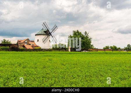 Windmühle in der Nähe des Feldes mit wachsenden Pflanzen. Landwirtschaft ländliche Szene. Wolkiges Wetter nach Regen, dramatische Sturmwolken. Stockfoto