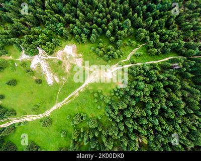 Luftaufnahme von oben nach unten zu Wald, Bäumen und touristischen Pfaden in der Slowakei Nationalpark Mala Fatra. Lebendige Farben, frische Natur und schöner Wald. Stockfoto