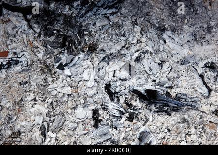 Schwelende Holzkohle in einem Grill. Vereinzelte Stücke Glut im Herd gemischt mit Asche. Asche nach dem Essen im Freien vorzubereiten Stockfoto