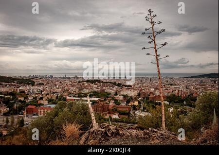 Luftaufnahme von Barcelona von Collserola Range an einem bewölkten Tag Stockfoto