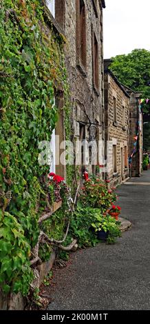 Ivy wächst an den Wänden von zwei- und dreistöckigen Steinhäusern auf der Main Street in Winster Derbyshire auf, mit Sommerblumen in den Töpfen. Stockfoto