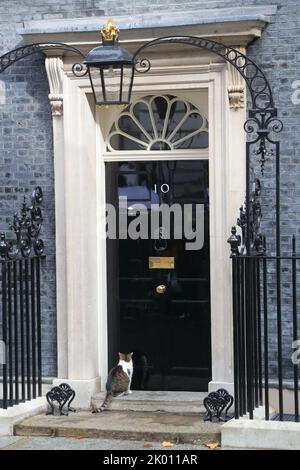 London, Großbritannien, 7.. September 2022. Liz Truss, die neue Premierministerin, hält ihr erstes Treffen mit ihrem neu gebildeten Kabinett ab. Die Minister nehmen heute an der Kabinettssitzung Teil. Stockfoto