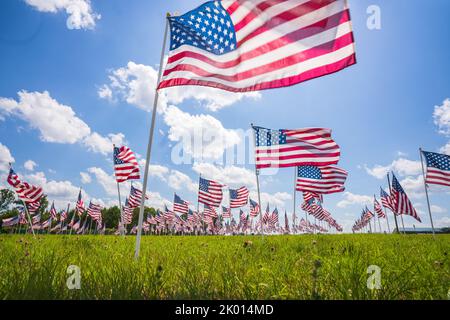 Eine Gruppe von Dutzenden von amerikanischen Sternen, die in den USA in einem grünen Feld mit blauem Himmel und Wolken winken Stockfoto