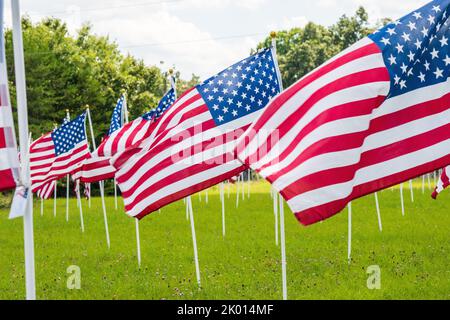 Eine Gruppe von Dutzenden von amerikanischen Sternen, die in den USA in einem grünen Feld mit blauem Himmel und Wolken winken Stockfoto