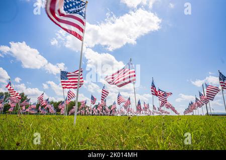 Eine Gruppe von Dutzenden von amerikanischen Sternen, die in den USA in einem grünen Feld mit blauem Himmel und Wolken winken Stockfoto