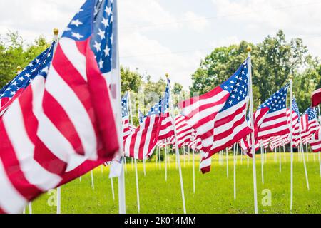 Eine Gruppe von Dutzenden von amerikanischen Sternen, die in den USA in einem grünen Feld mit blauem Himmel und Wolken winken Stockfoto