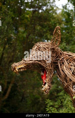 Wicker Wolf aus verdrehten Weidenstreifen gefertigt. Märchen. Was für große Zähne.....Abbotsbury subtropische Gärten Stockfoto