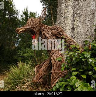 Wicker Wolf aus verdrehten Weidenstreifen gefertigt. Märchen. Was für große Zähne.....Abbotsbury subtropische Gärten Stockfoto