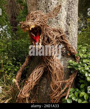 Wicker Wolf aus verdrehten Weidenstreifen gefertigt. Märchen. Was für große Zähne.....Abbotsbury subtropische Gärten Stockfoto