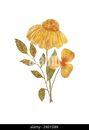 Herbstblumen. Aquarell Zusammensetzung der Herbstblumen. Design für Postkarten und Aufkleber. Isoliert auf weißem Hintergrund. Stockfoto