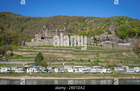 Burg Reichenstein, auch bekannt als Falkenburg, Trechtingshausen Stockfoto