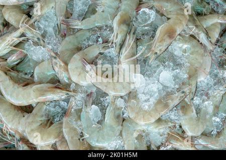 Frische weiße Garnelen auf zerkleinertem Eis zum Verkauf auf dem Markt. Rohe Garnelen zum Kochen im Fischrestaurant. Seenahrungsmittelindustrie. Schalentier. Garnelen Stockfoto